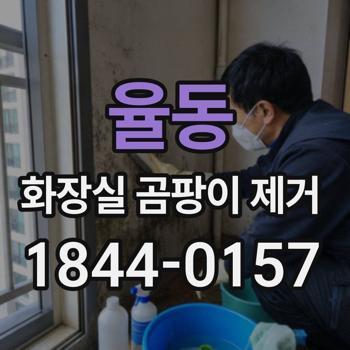 율동 화장실 곰팡이 제거