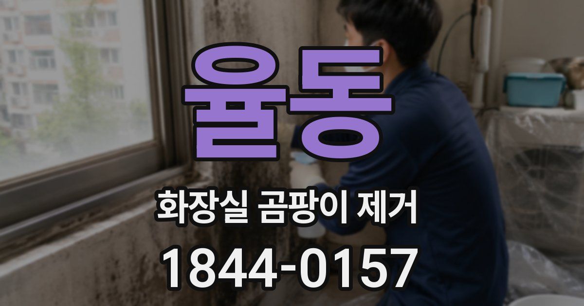 율동 화장실 곰팡이 제거