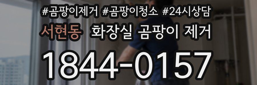서현동 화장실 곰팡이 제거