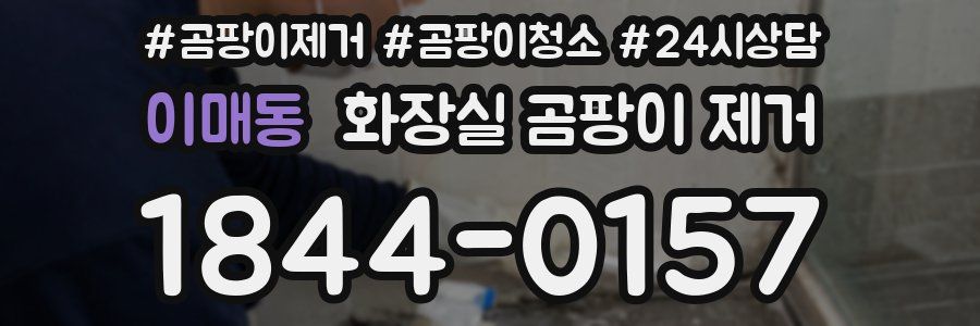 이매동 화장실 곰팡이 제거