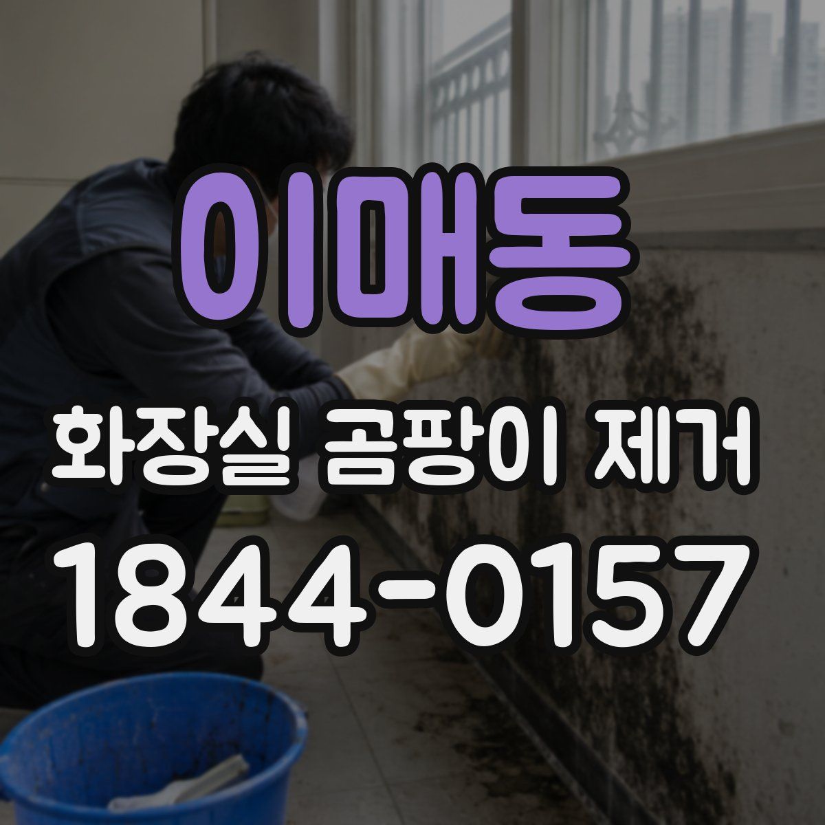 이매동 화장실 곰팡이 제거