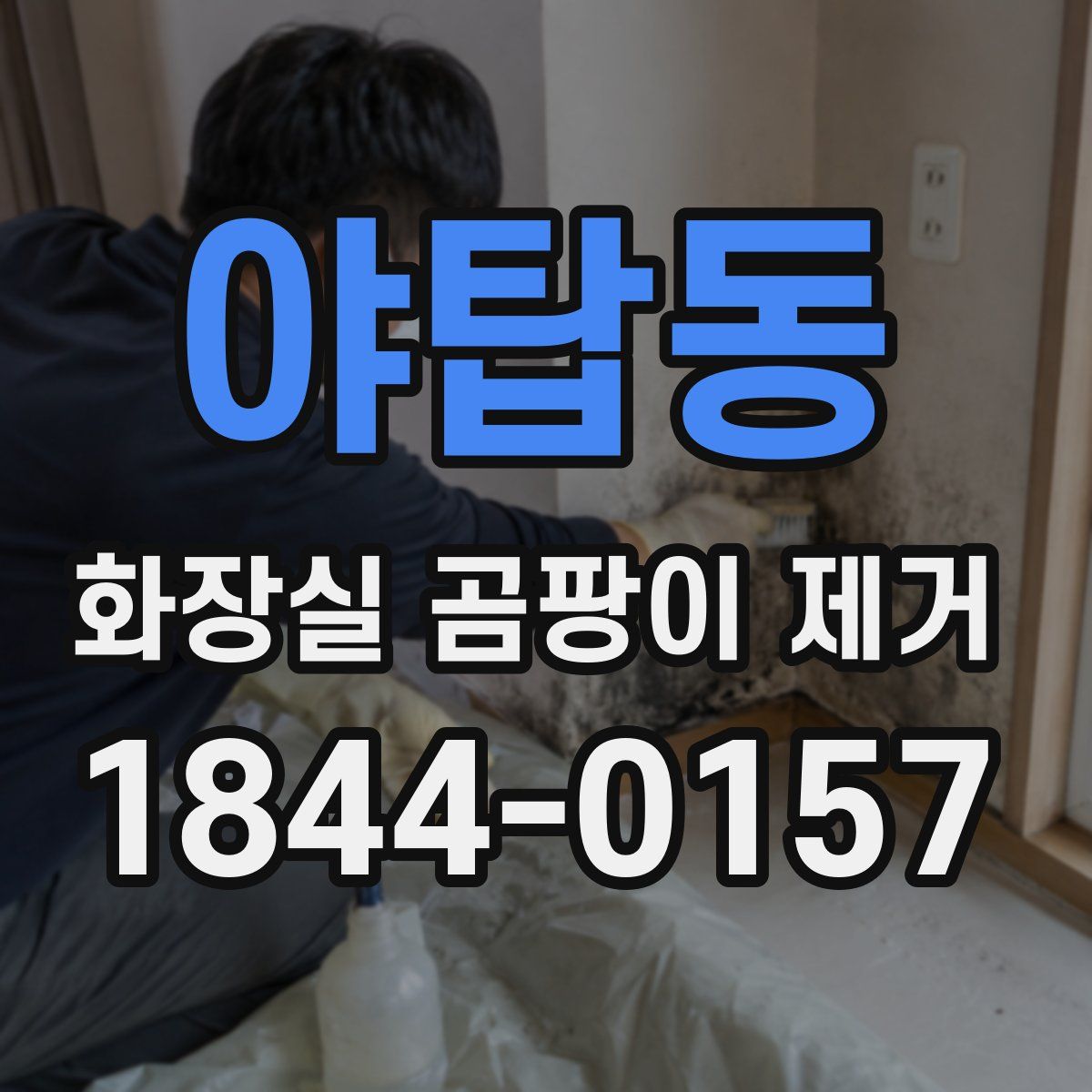 야탑동 화장실 곰팡이 제거