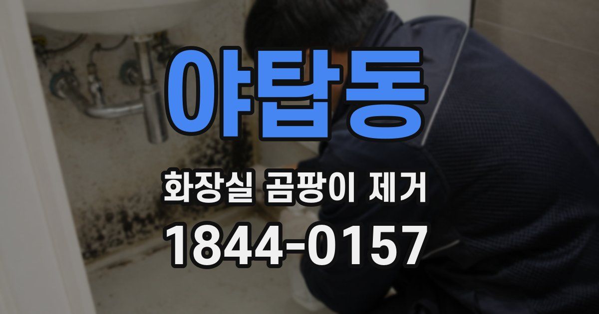 야탑동 화장실 곰팡이 제거