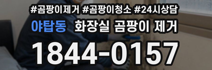 야탑동 화장실 곰팡이 제거