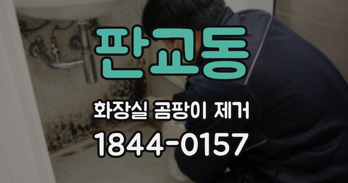 판교동 화장실 곰팡이 제거