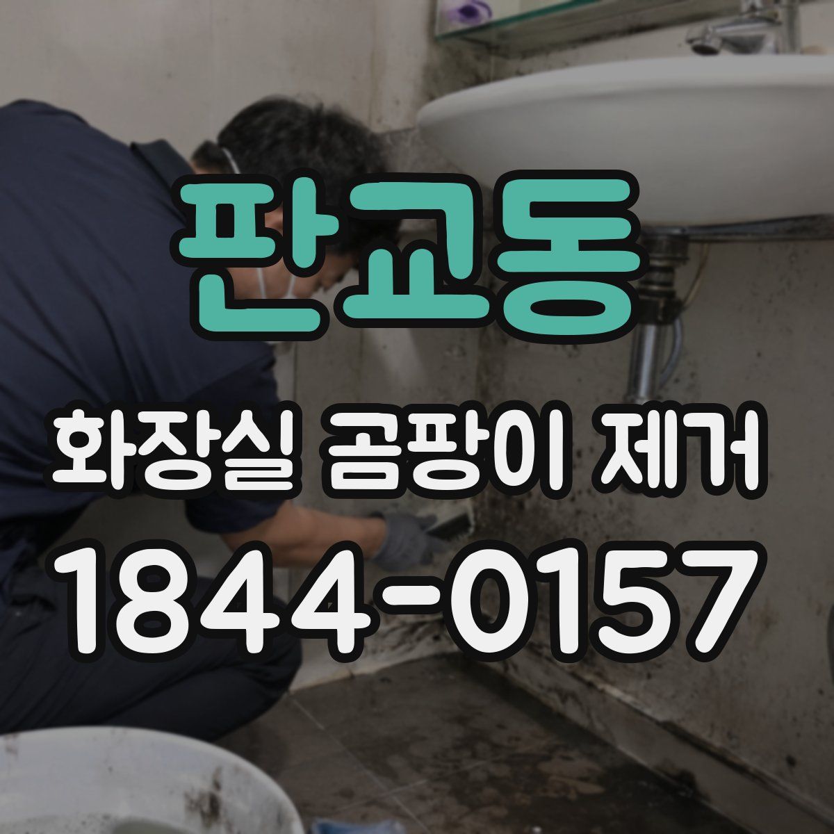 판교동 화장실 곰팡이 제거