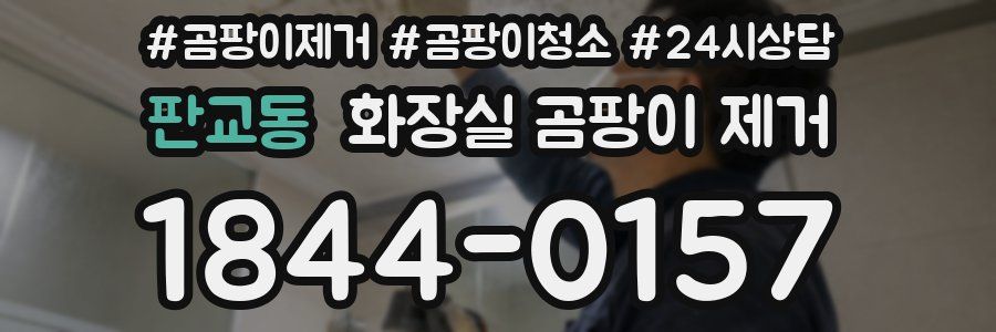 판교동 화장실 곰팡이 제거