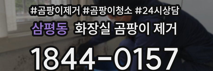 삼평동 화장실 곰팡이 제거