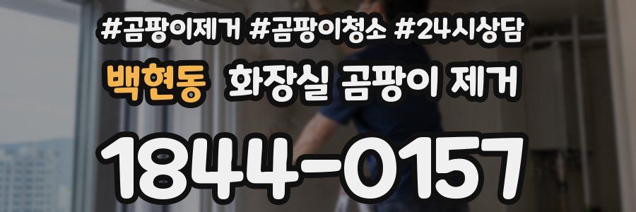 백현동 화장실 곰팡이 제거