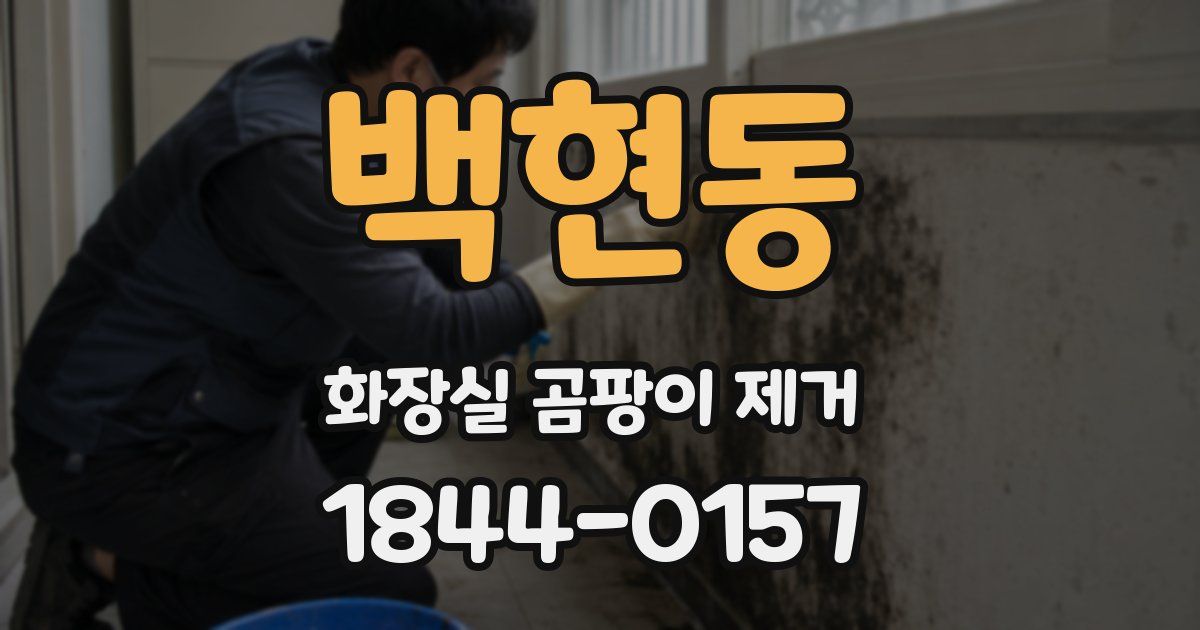 백현동 화장실 곰팡이 제거