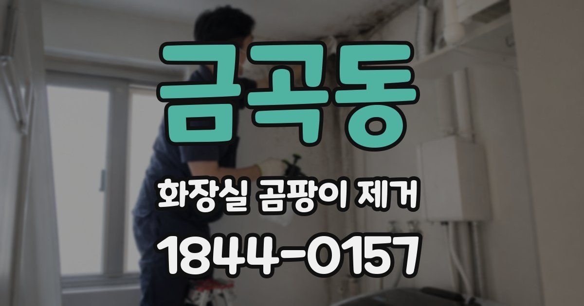 금곡동 화장실 곰팡이 제거