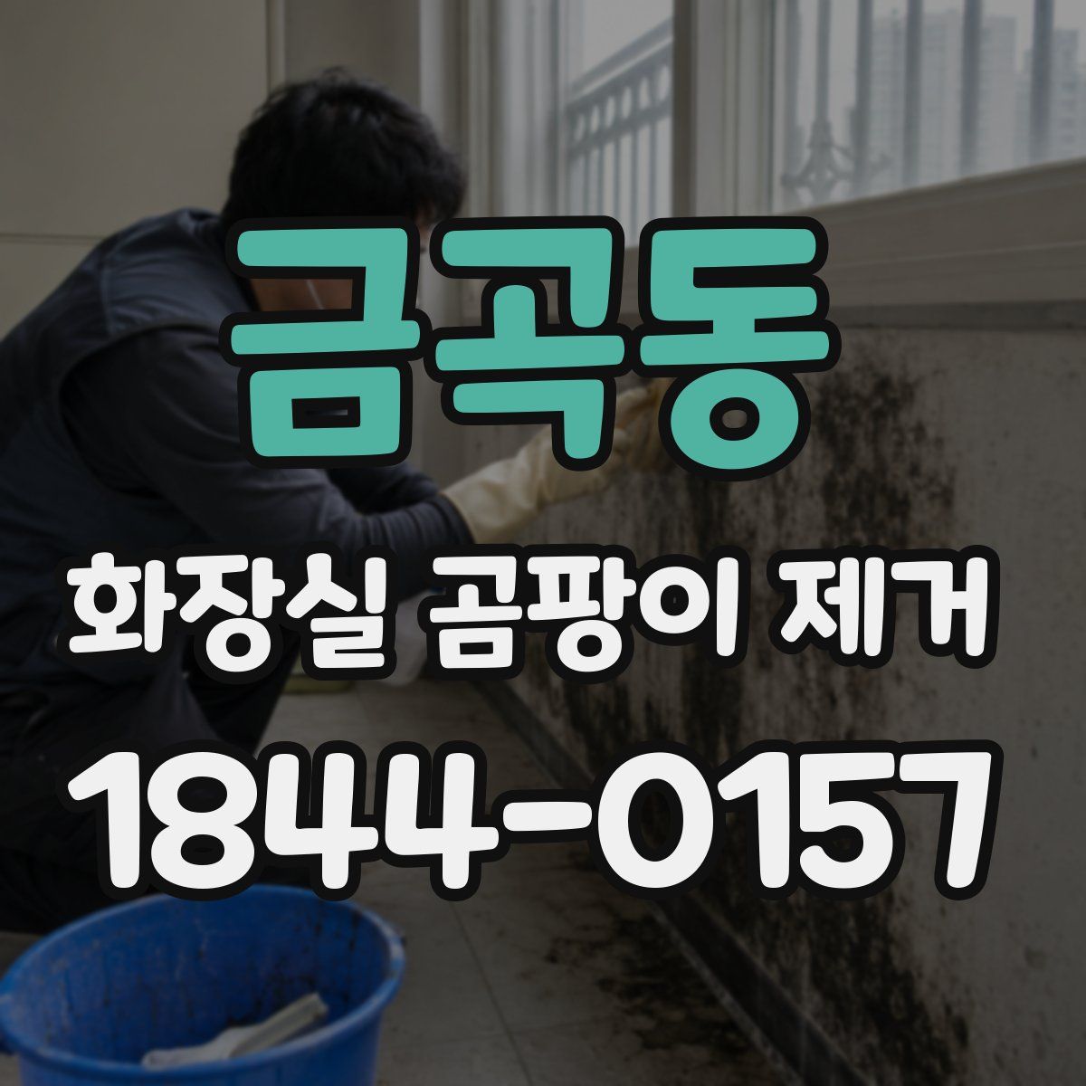 금곡동 화장실 곰팡이 제거