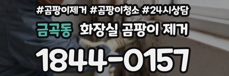 금곡동 화장실 곰팡이 제거