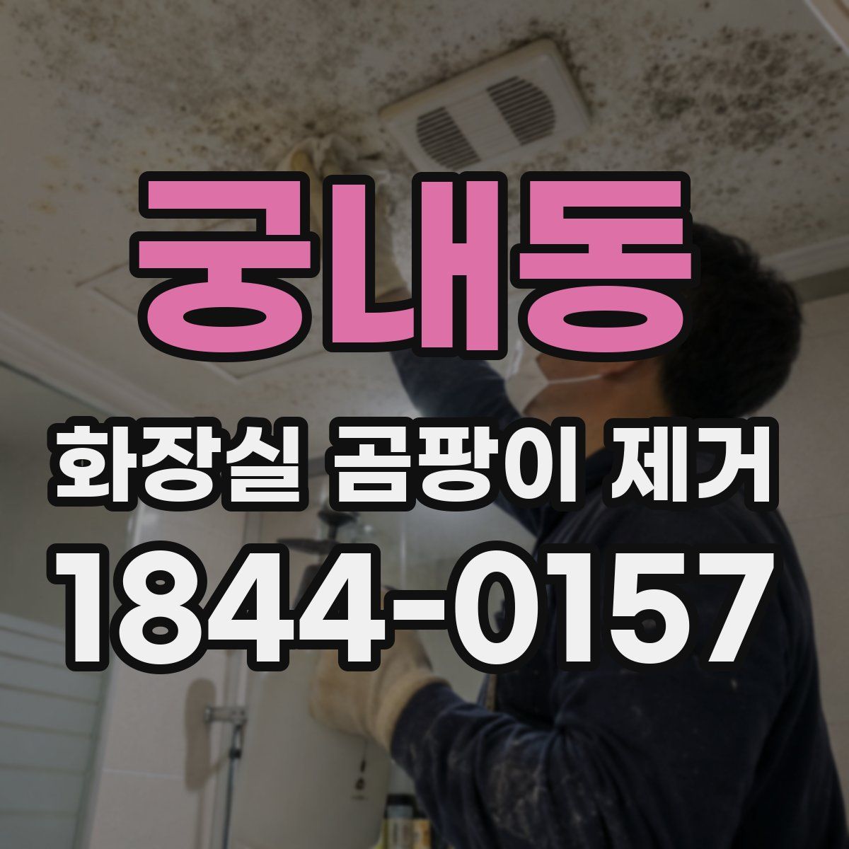 궁내동 화장실 곰팡이 제거