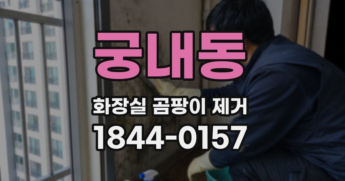 궁내동 화장실 곰팡이 제거