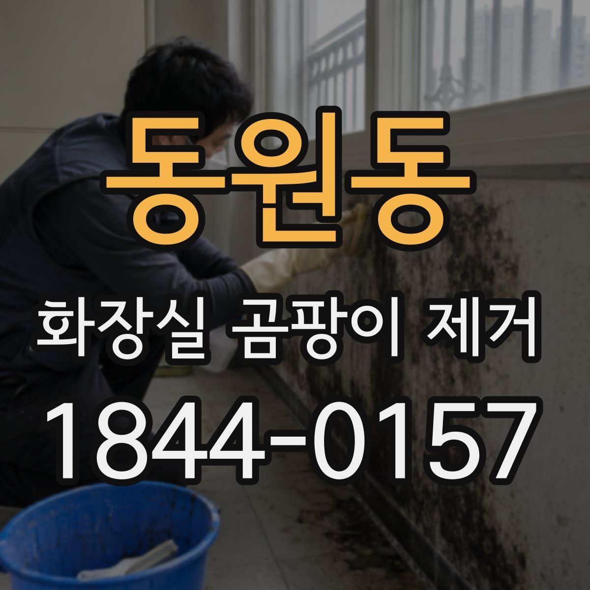 동원동 화장실 곰팡이 제거