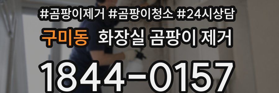 구미동 화장실 곰팡이 제거