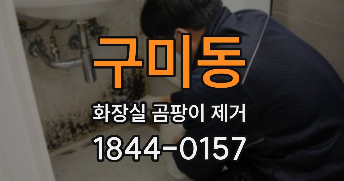구미동 화장실 곰팡이 제거