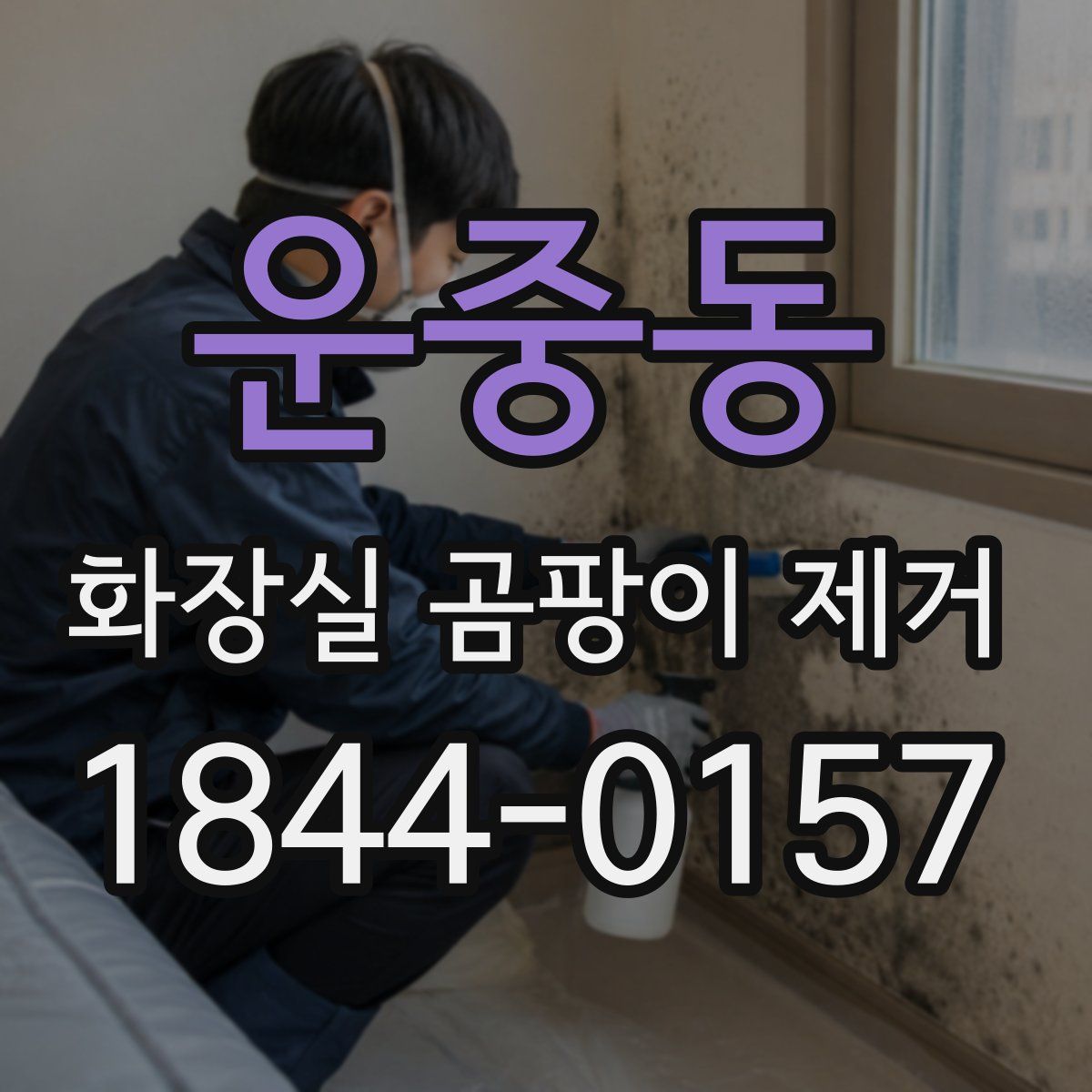 운중동 화장실 곰팡이 제거