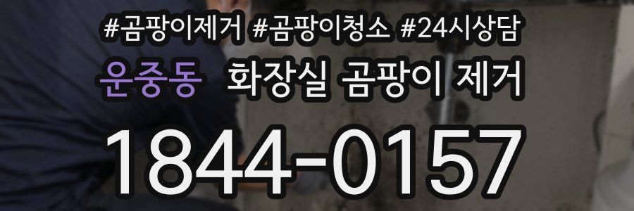 운중동 화장실 곰팡이 제거