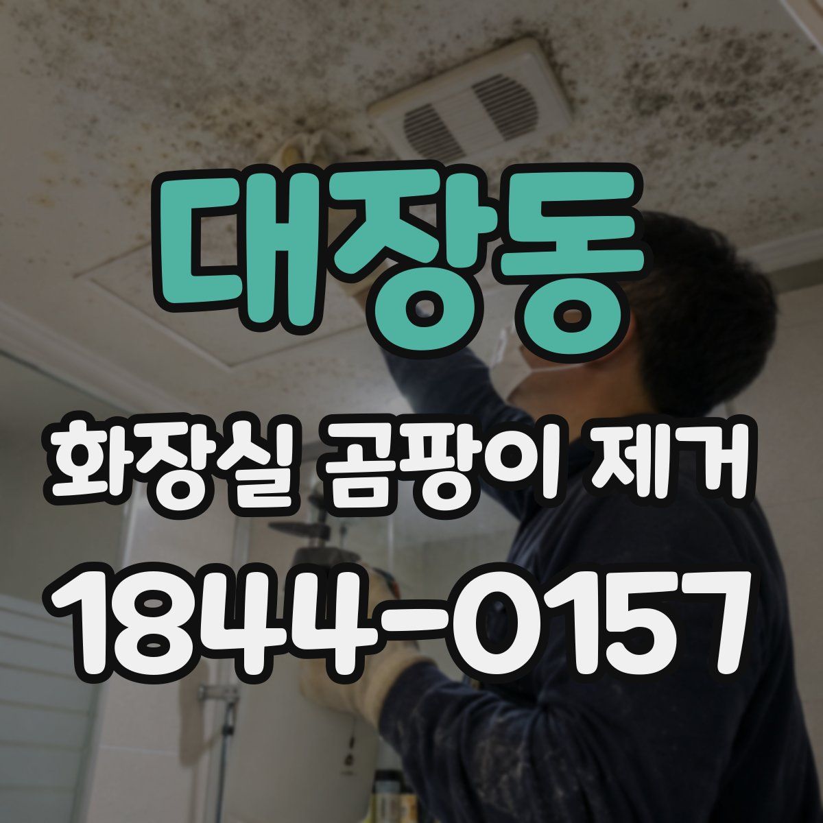 대장동 화장실 곰팡이 제거
