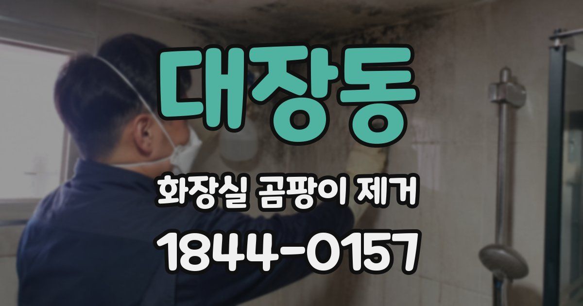 대장동 화장실 곰팡이 제거