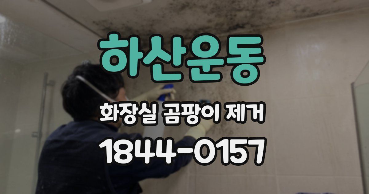 하산운동 화장실 곰팡이 제거