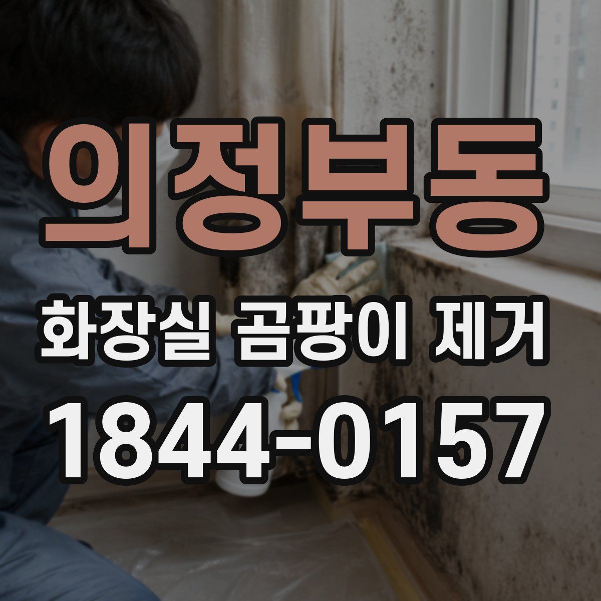 의정부동 화장실 곰팡이 제거