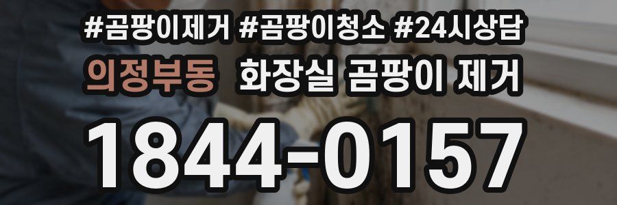 의정부동 화장실 곰팡이 제거