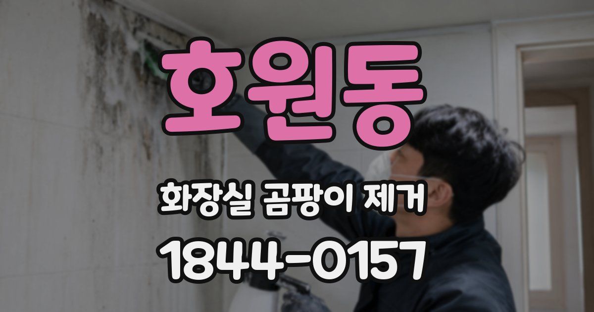호원동 화장실 곰팡이 제거