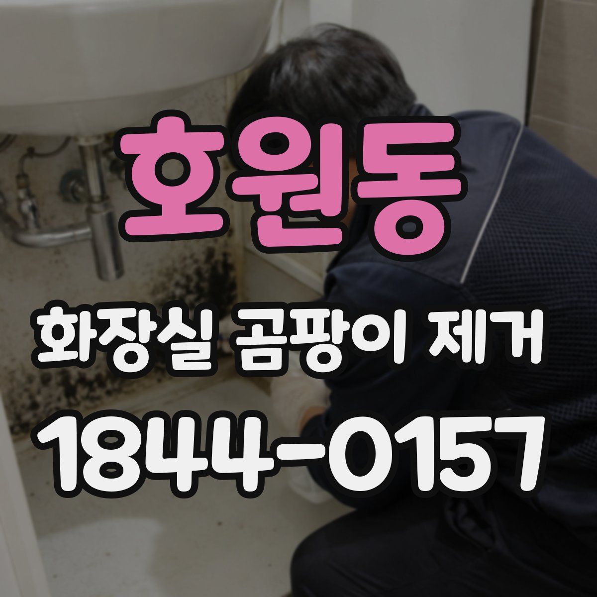 호원동 화장실 곰팡이 제거