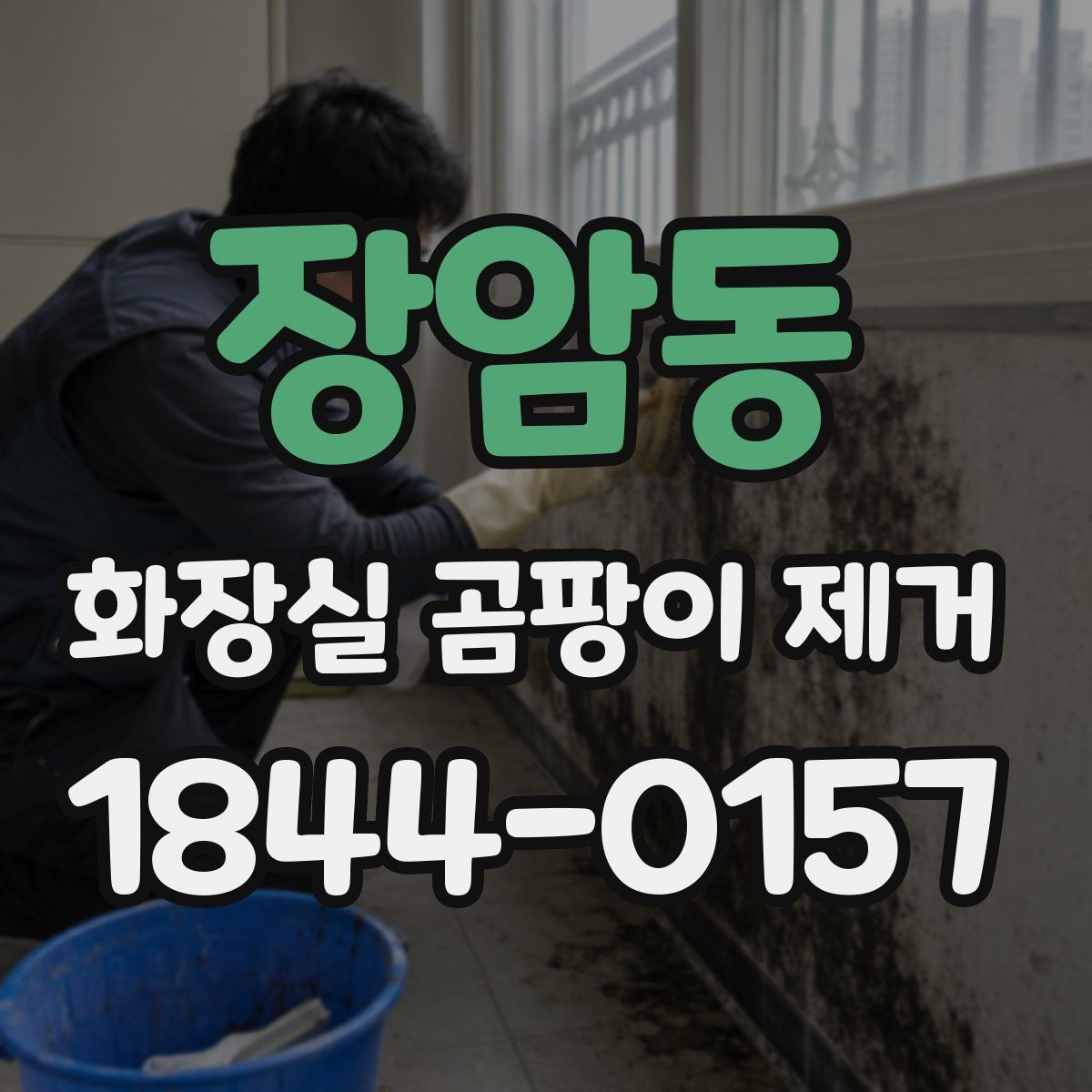 장암동 화장실 곰팡이 제거