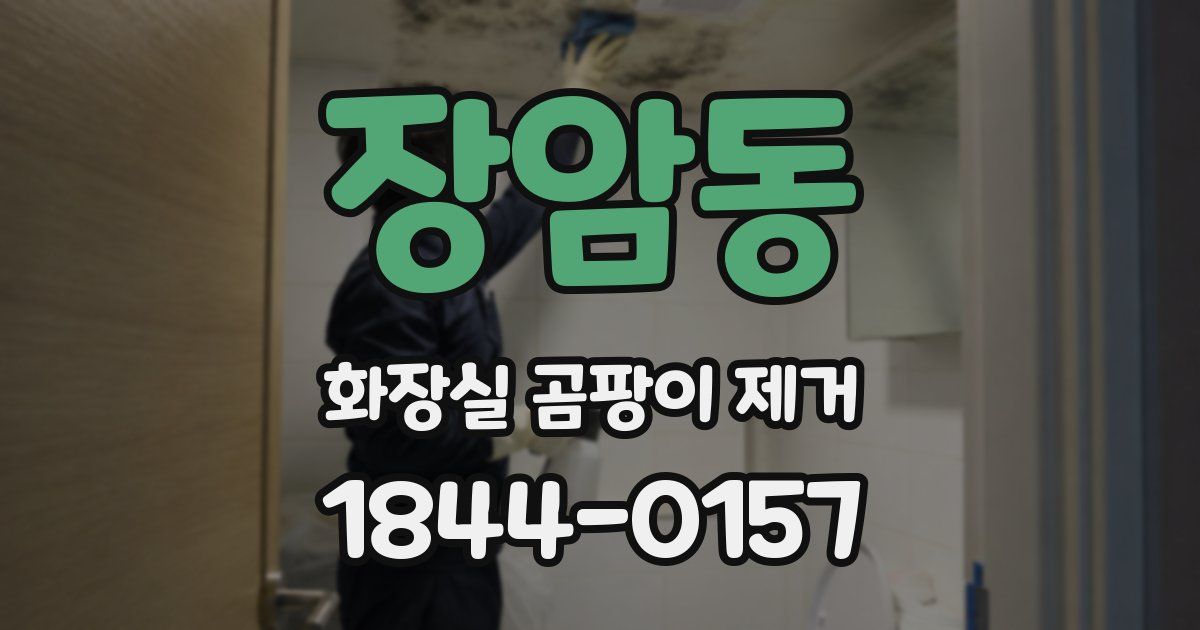장암동 화장실 곰팡이 제거