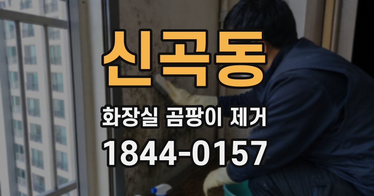 신곡동 화장실 곰팡이 제거