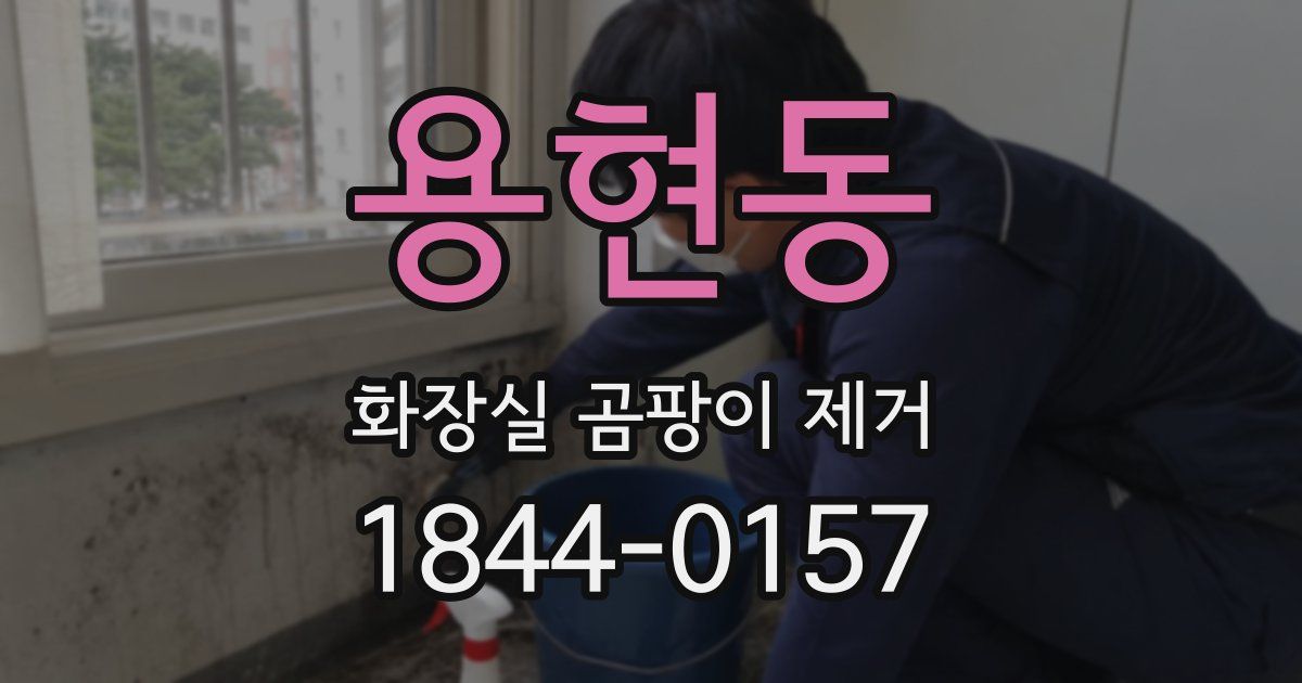 용현동 화장실 곰팡이 제거