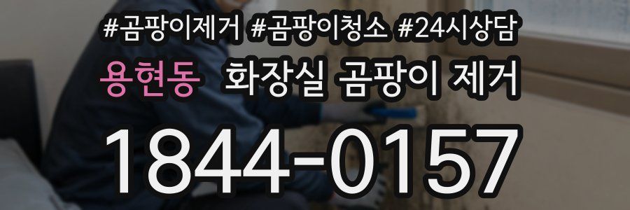 용현동 화장실 곰팡이 제거