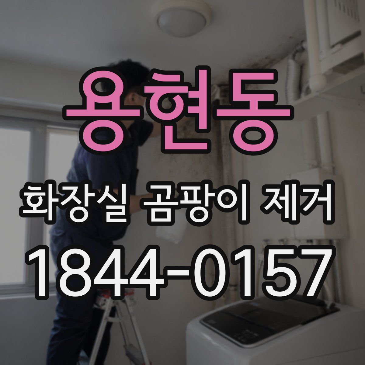 용현동 화장실 곰팡이 제거