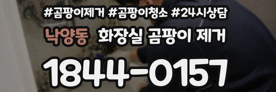 낙양동 화장실 곰팡이 제거
