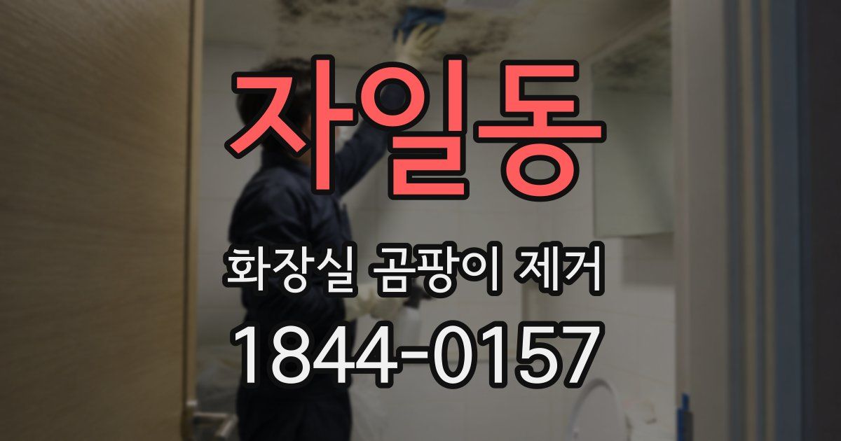 자일동 화장실 곰팡이 제거