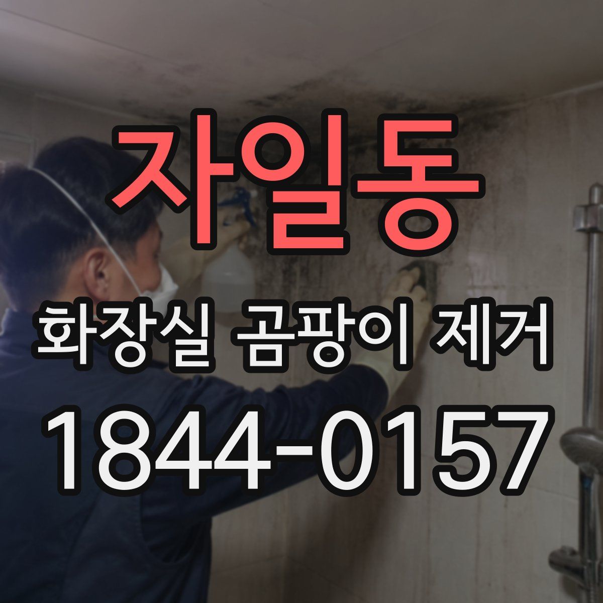 자일동 화장실 곰팡이 제거