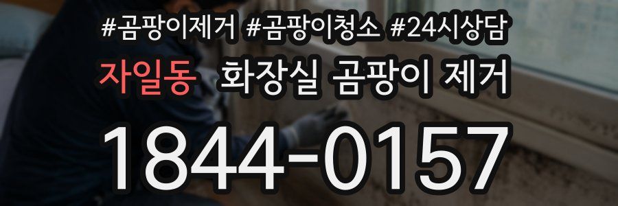 자일동 화장실 곰팡이 제거