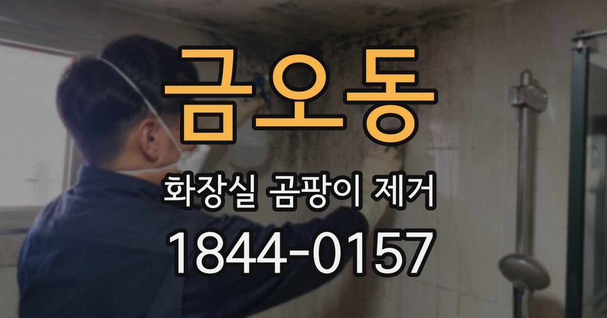 금오동 화장실 곰팡이 제거