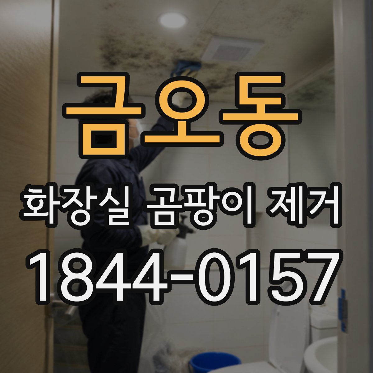 금오동 화장실 곰팡이 제거