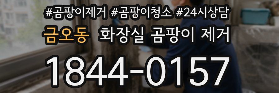 금오동 화장실 곰팡이 제거
