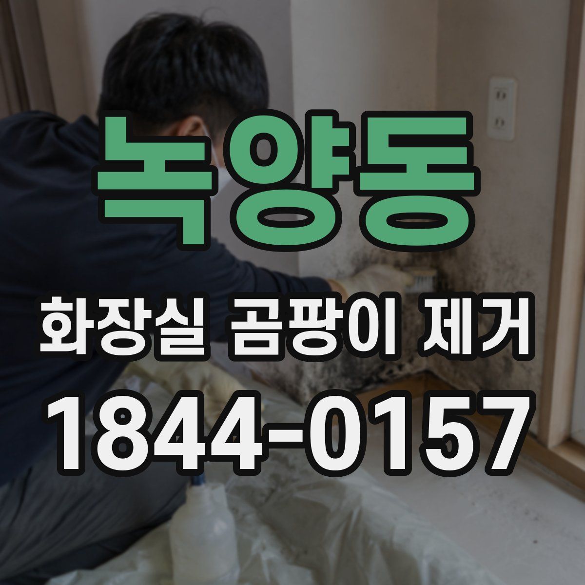 녹양동 화장실 곰팡이 제거
