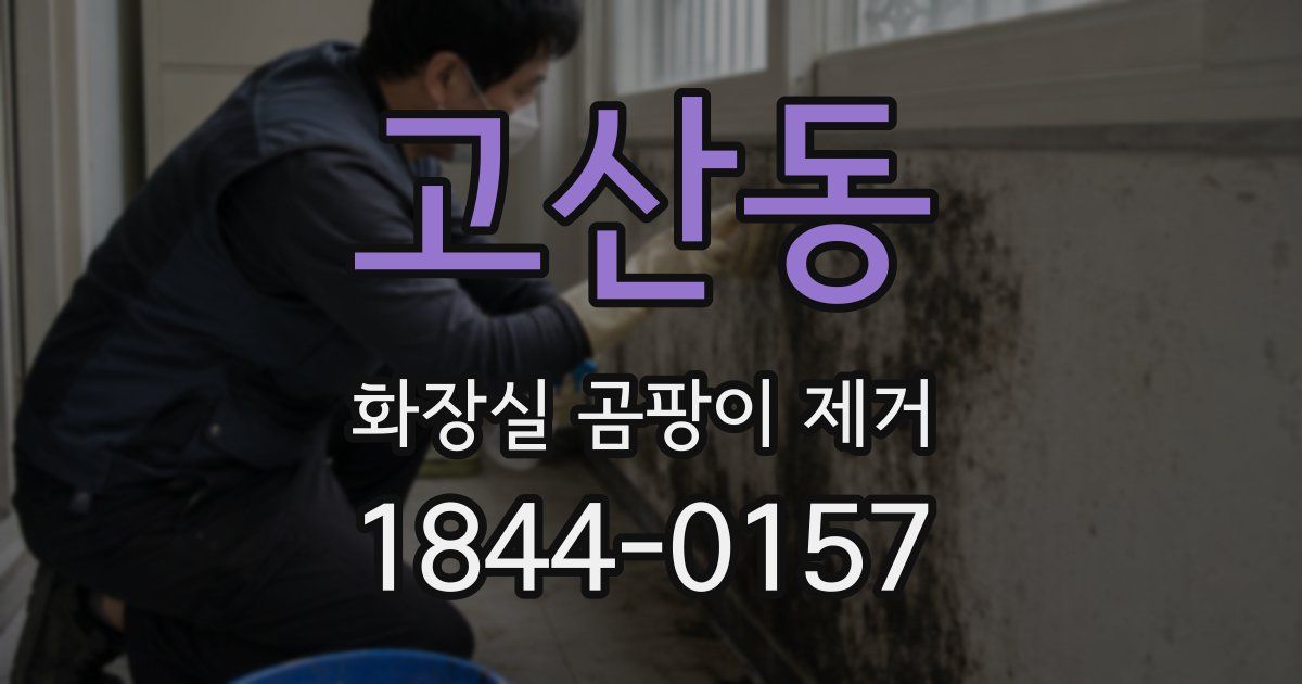 고산동 화장실 곰팡이 제거
