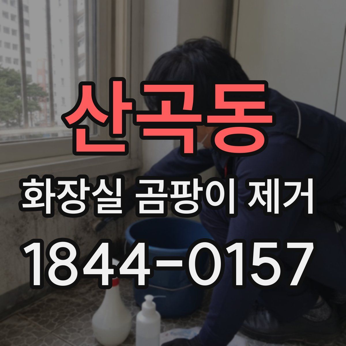 산곡동 화장실 곰팡이 제거