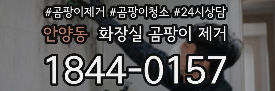 안양동 화장실 곰팡이 제거