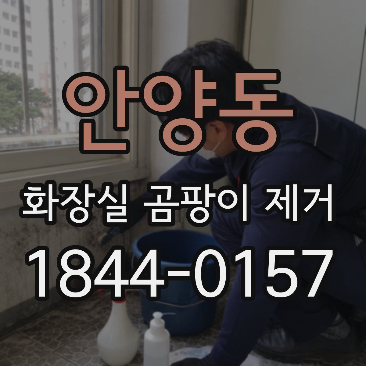 안양동 화장실 곰팡이 제거