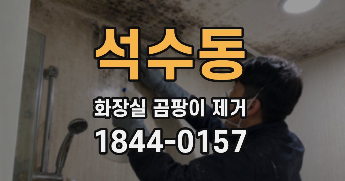 석수동 화장실 곰팡이 제거
